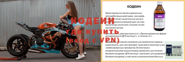 молекула духа Осташков