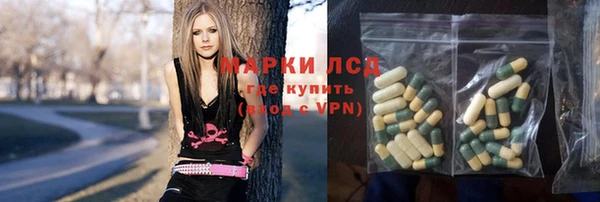 молекула духа Осташков