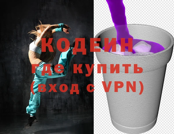 молекула духа Осташков