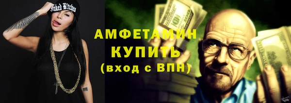 молекула духа Осташков