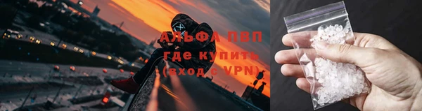 молекула духа Осташков