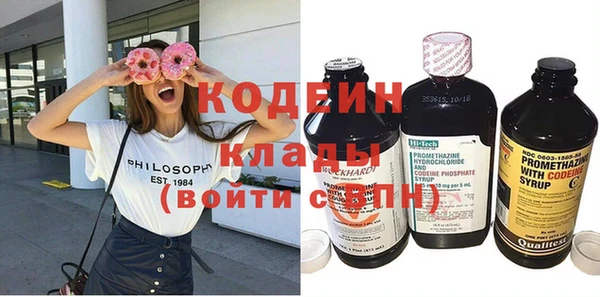 молекула духа Осташков