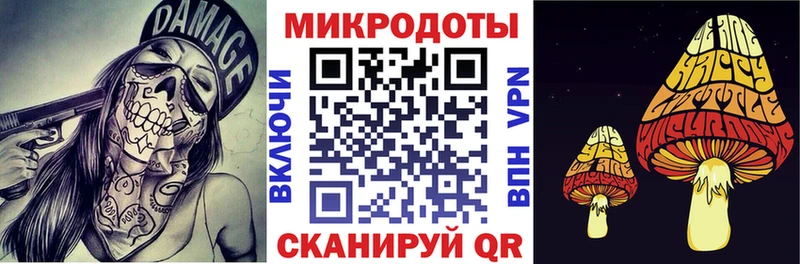Галлюциногенные грибы GOLDEN TEACHER  blacksprut вход  Белая Холуница  купить наркотики цена 